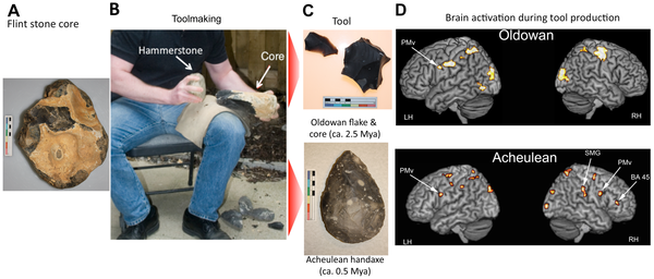 Lower Palaeolithic toolmaking